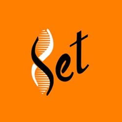 Set Consultoria