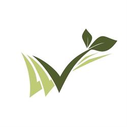 Vibe Naturais - Mercado Saudável
