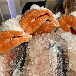 gaetanopescados.com - Gaetano pescados