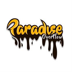 Paradise Overflow Store