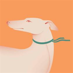 Galgo Ateliê