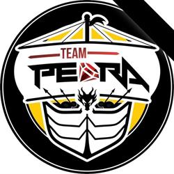 Centro de Treinamento Team Pedra