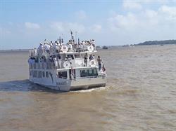 Iate Borari