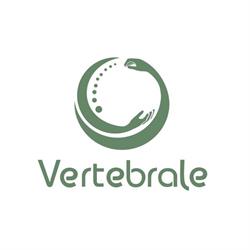 Vertebrale