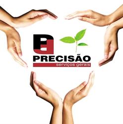 Precisão Serviços