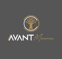 Avant Moema