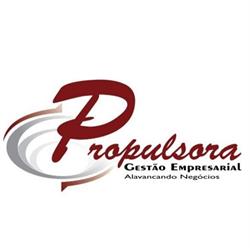 Propulsora Gestão Empresarial