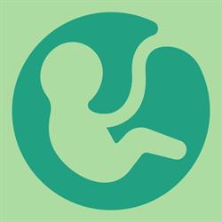 Imaginus Medicina Fetal & Ultrassonografia