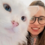 Hotel para Gatos na Vila Mariana