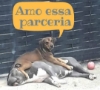 Consultório Veterinário Dra Grace Lima Veterinário em domicílio Campinas