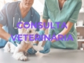 consulta