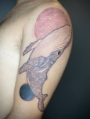 Tatuagem Colorida Baleia Jubarte