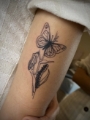Tatuagem Delicada Lagarta e Borboleta