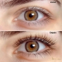 Lash Lifting Cílios Moema São Paulo Salão de Beleza