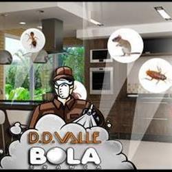 D.D. Valle Bola Branca
