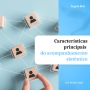 Características principais do acompanhamento sistêmico