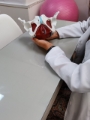 Fisioterapeuta Pélvica