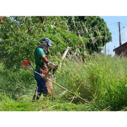 Enxada de Ouro - Limpeza de Terrenos Residenciais e Comerciais