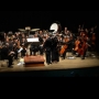 Cris Barbosa Violinista Casamentos Festas Eventos