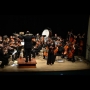 Cris Barbosa Violinista Casamentos Festas Eventos