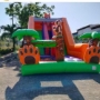 Tobogã Duplo com Piscina de Bolinhas