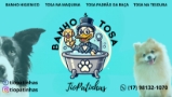 Banner TioPatinhas Banho e Tosa - Barretos