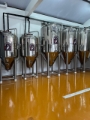 Produção de chopp