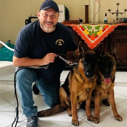 Adestramento de cães ilha do governador rj