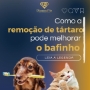 Remoção de Tártaro