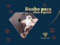 Banho para Cães e Gatos