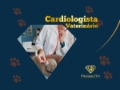 Cardiologista Veterinário