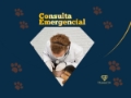 Consulta Emergencial