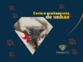 Corte e Acabamento de Unhas