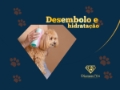 Desembolo e Hidratação