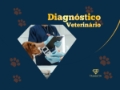 Diagnóstico Veterinário