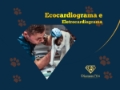 Ecocardiograma e Eletrocardiograma Veterinário