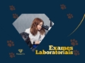 Exames Laboratoriais