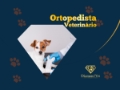 Ortopedista Veterinário