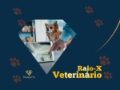 Raio-x Veterinário