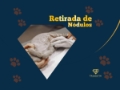 Retirada de Nódulos