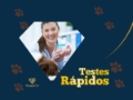 Testes Rápidos