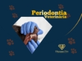 Tratamento Periodontal