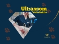 Ultrassom Veterinário