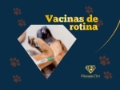 Vacinas de Rotina