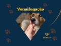 Vermifugação