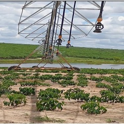 Fazenda agropecuária 3A