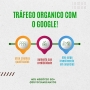 trafego organico