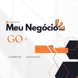 VIVIAN SANTOS MEU NEGÓCIO GO+