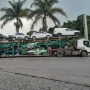 transporte-cegonha-coqueiro
