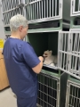 imagens-da-clinica-veterinaria-pazzi-em-diadema